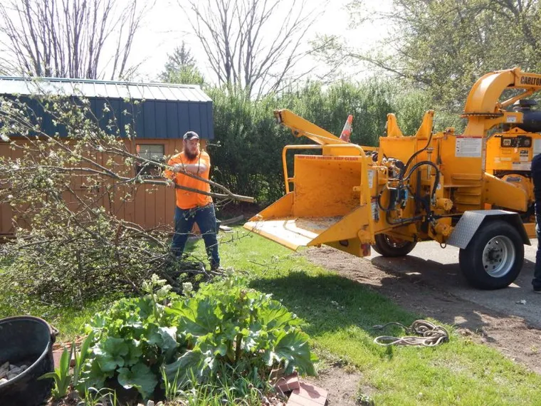 Stump Removal