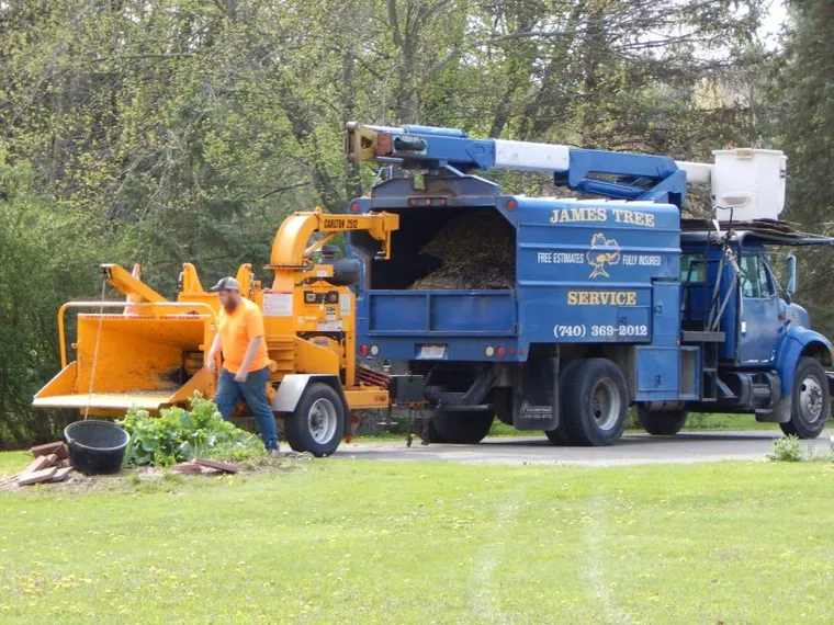 General Tree Care