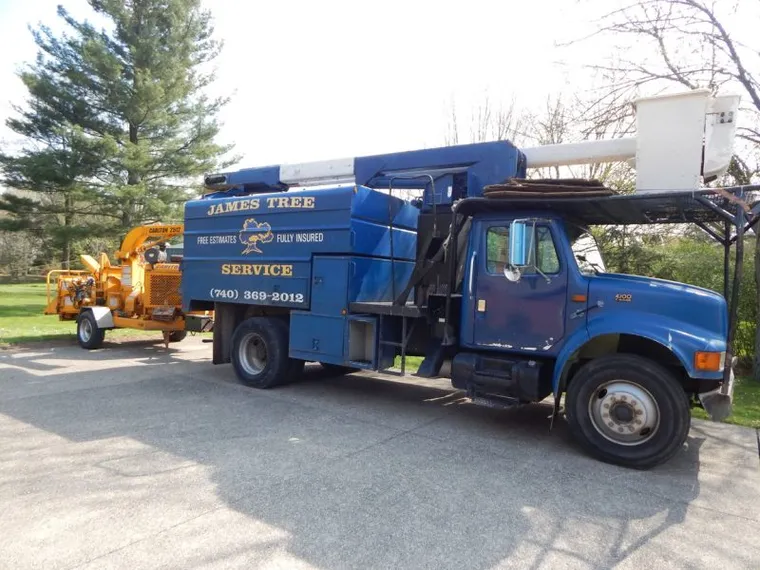 Tree Removal