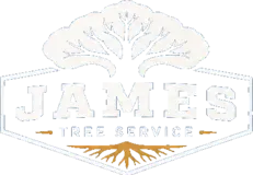 James Tree Service