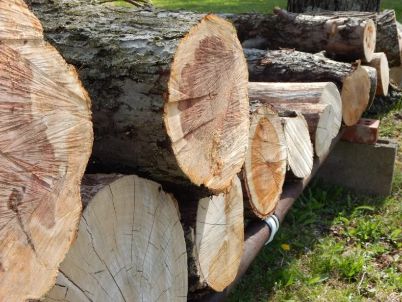 Cut down to size