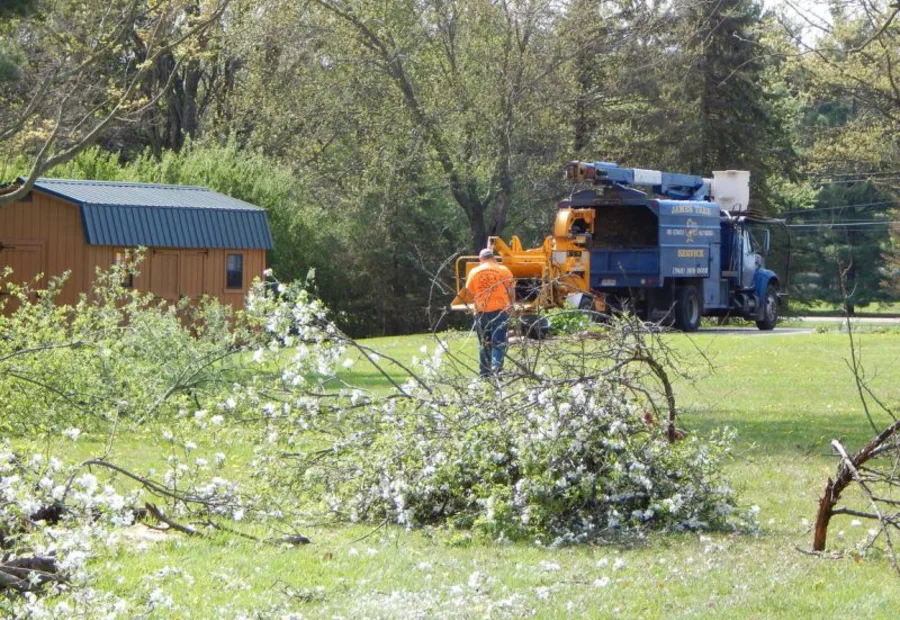 James Tree Service crew and truck working a Delaware, OH property